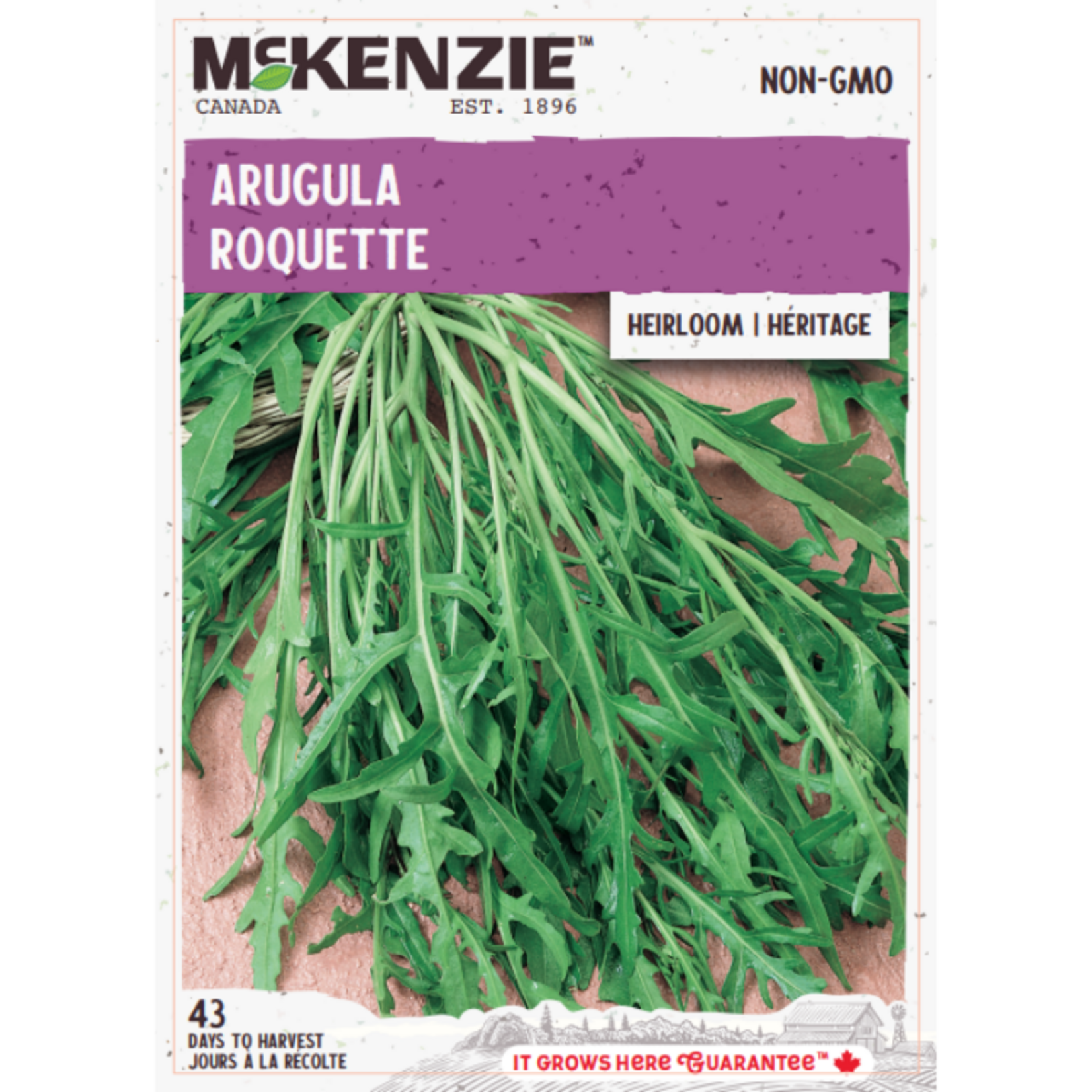 MK 2.49 V Herb Arugula