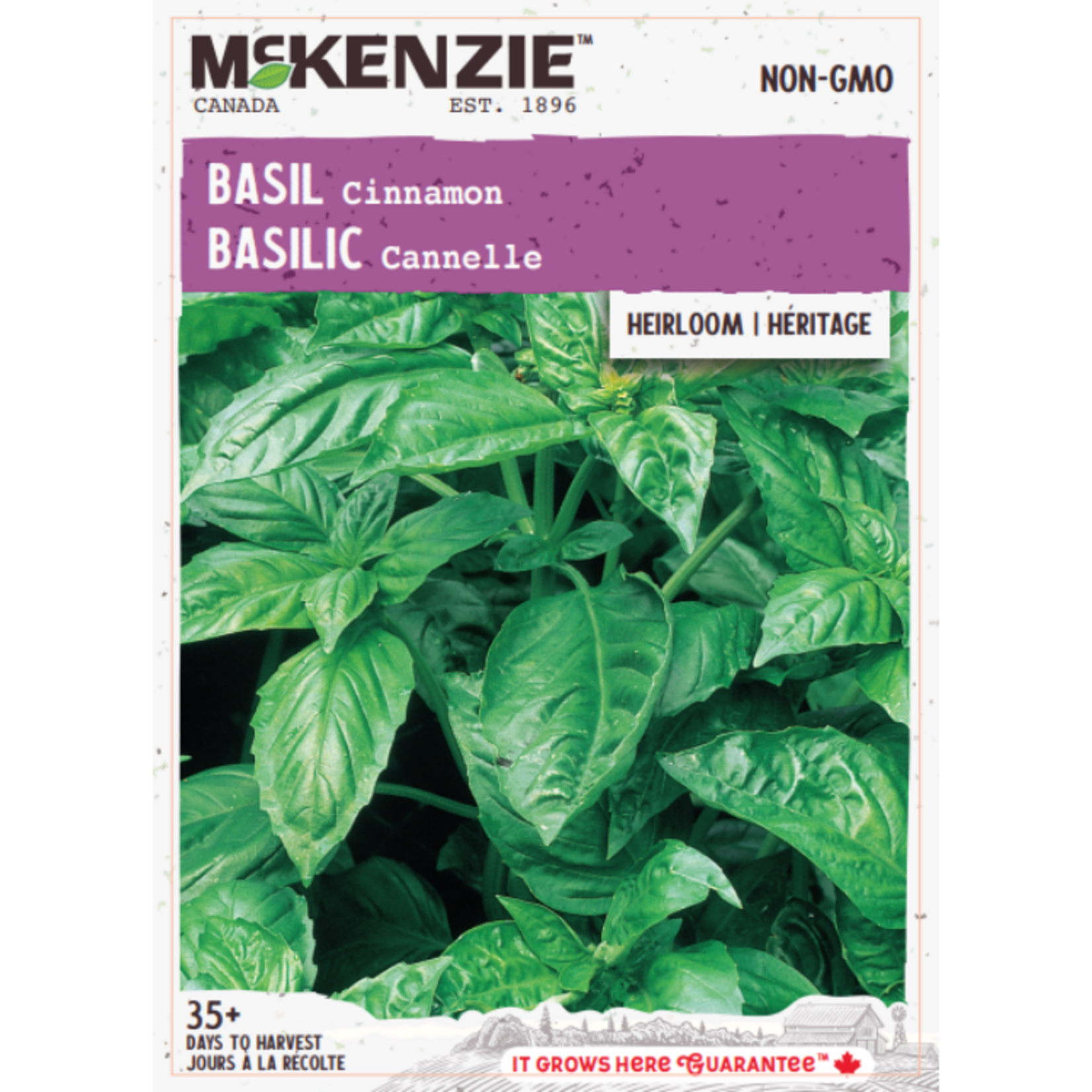 MK 2.49 V Herb Basil Cinnamon