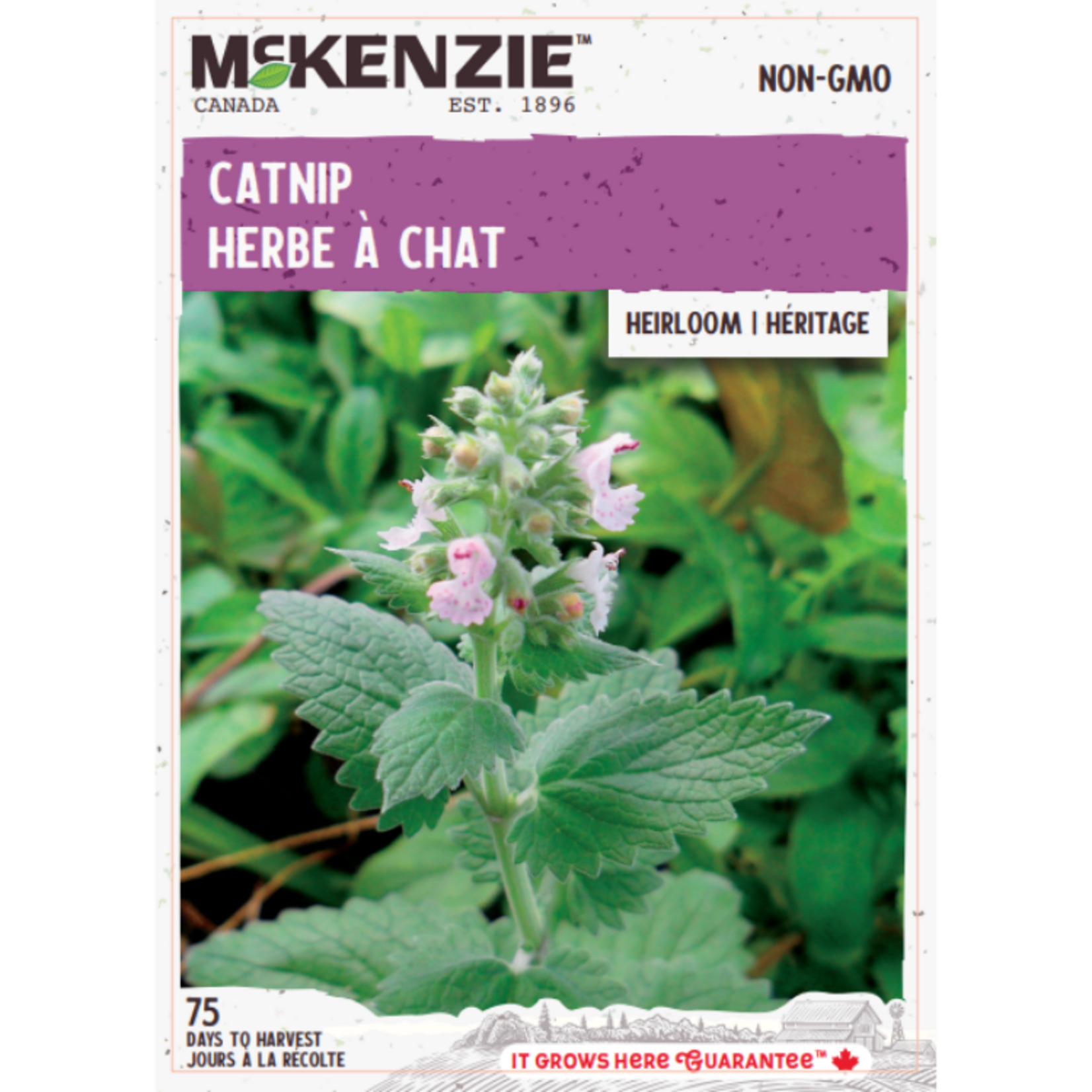 MK 2.49 V Herb Catnip