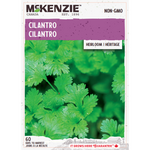 Herb Cilantro Coriander