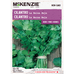 Herb Cilantro La Reina Baja