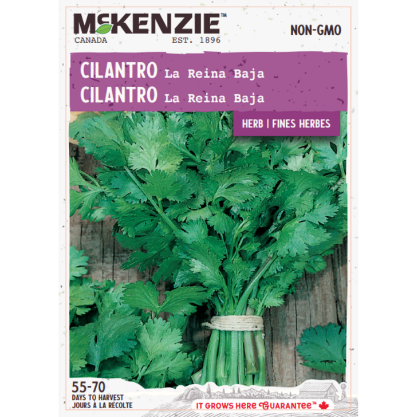 MK 2.49 V Herb Cilantro La Reina Baja