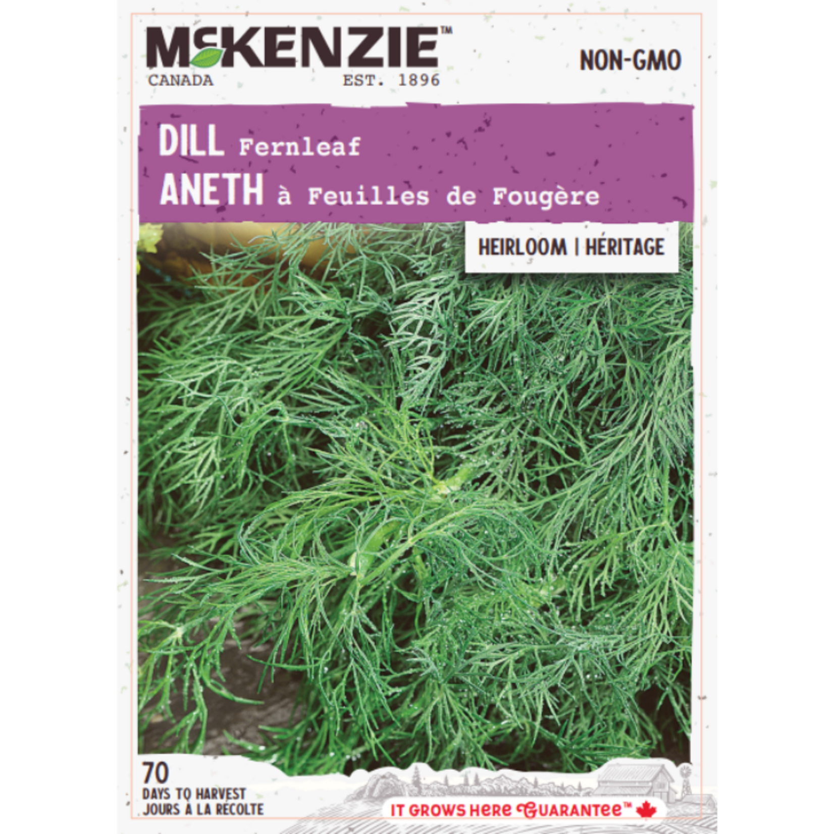 MK 2.49 V Herb Dill Fernleaf