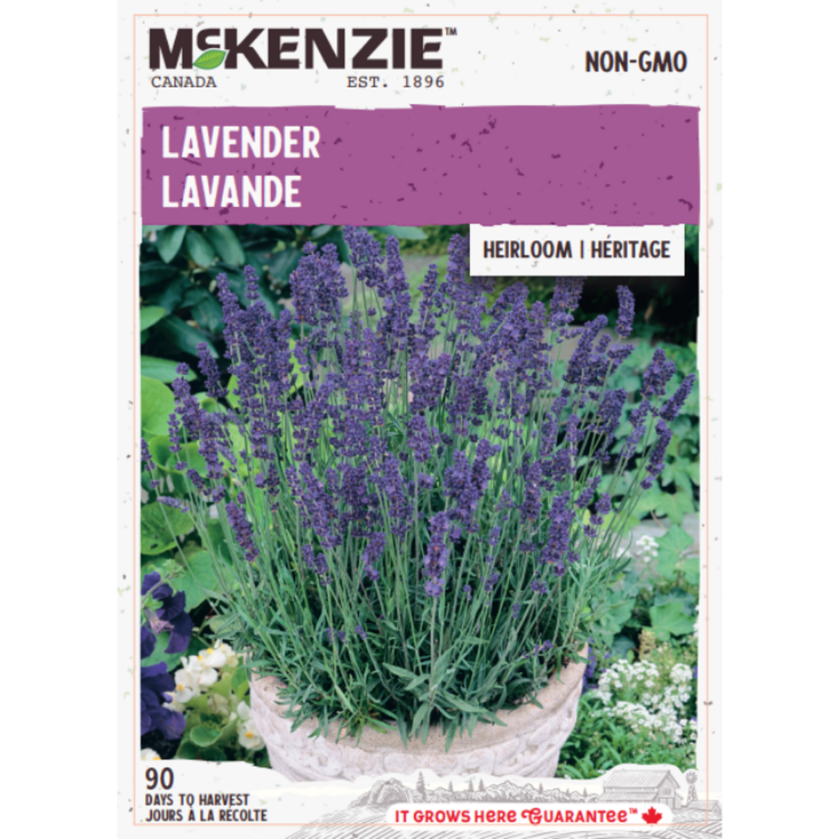 MK 2.49 V Herb Lavender