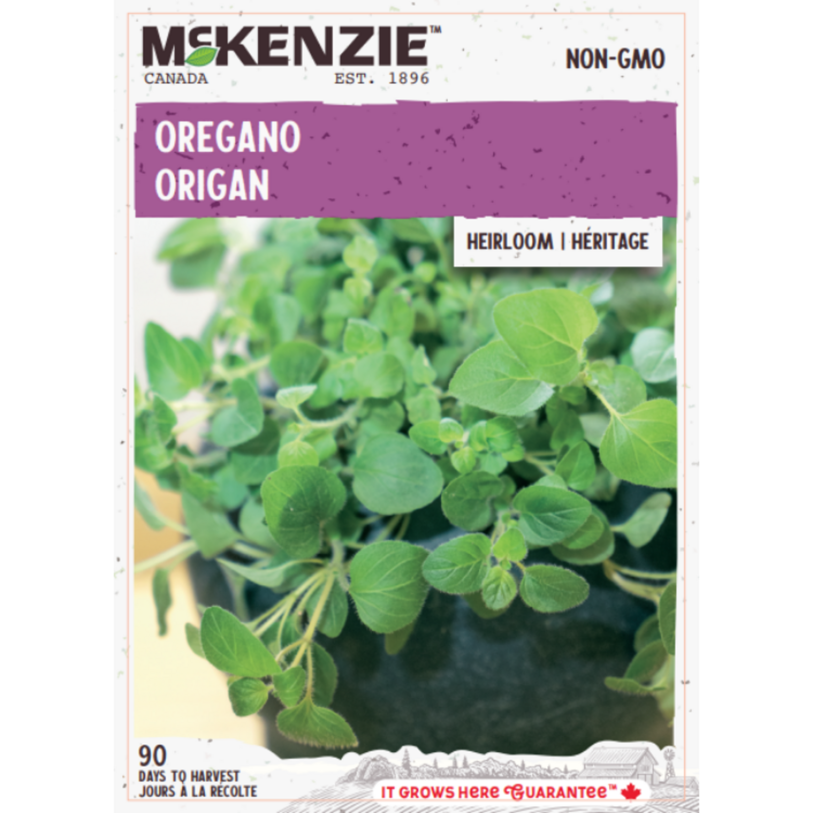 MK 2.49 V Herb Oregano