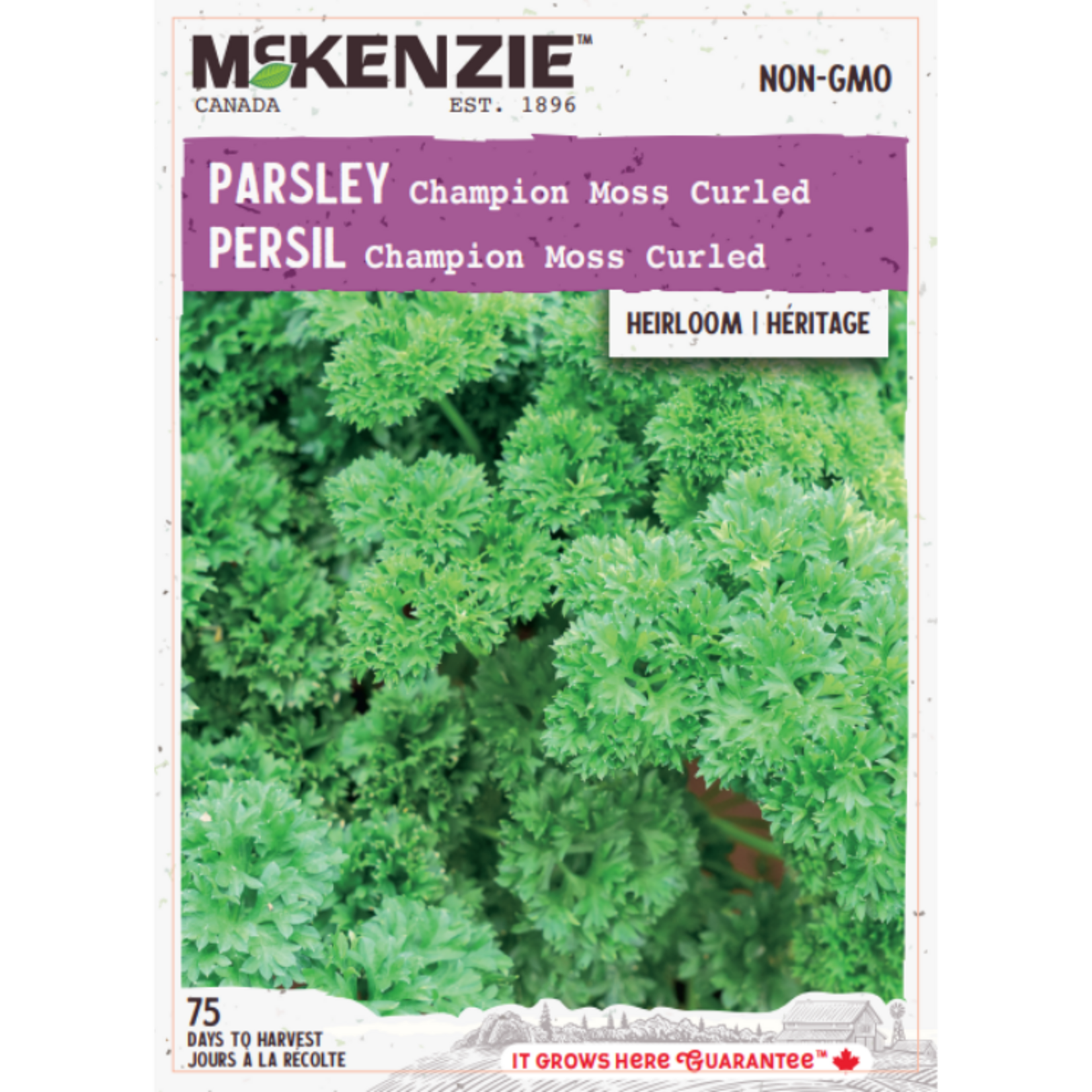 MK 2.49 V Herb Parsley Moss Curled