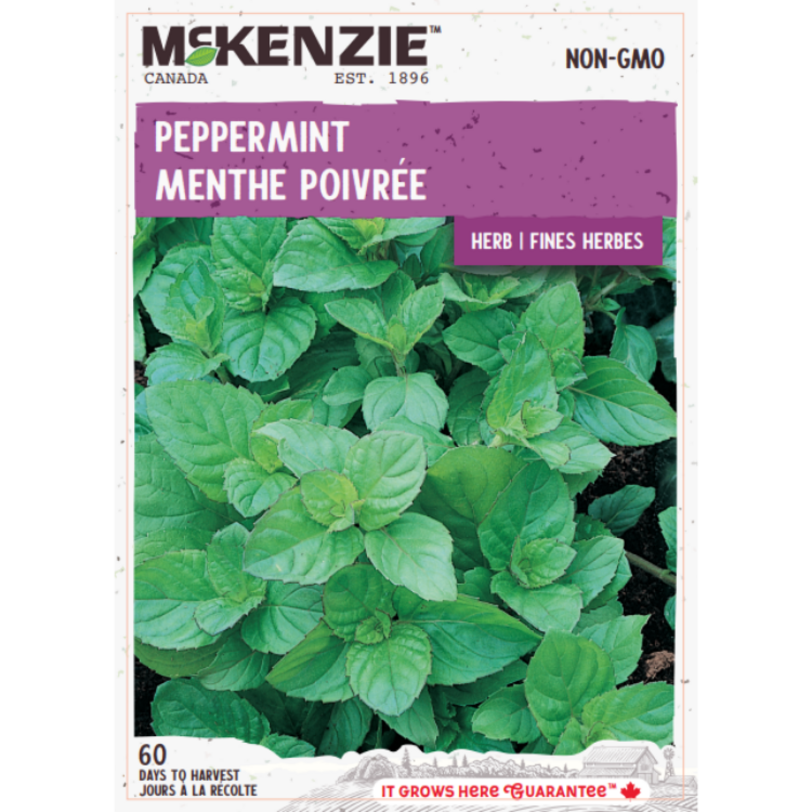 MK 2.49 V Herb Peppermint