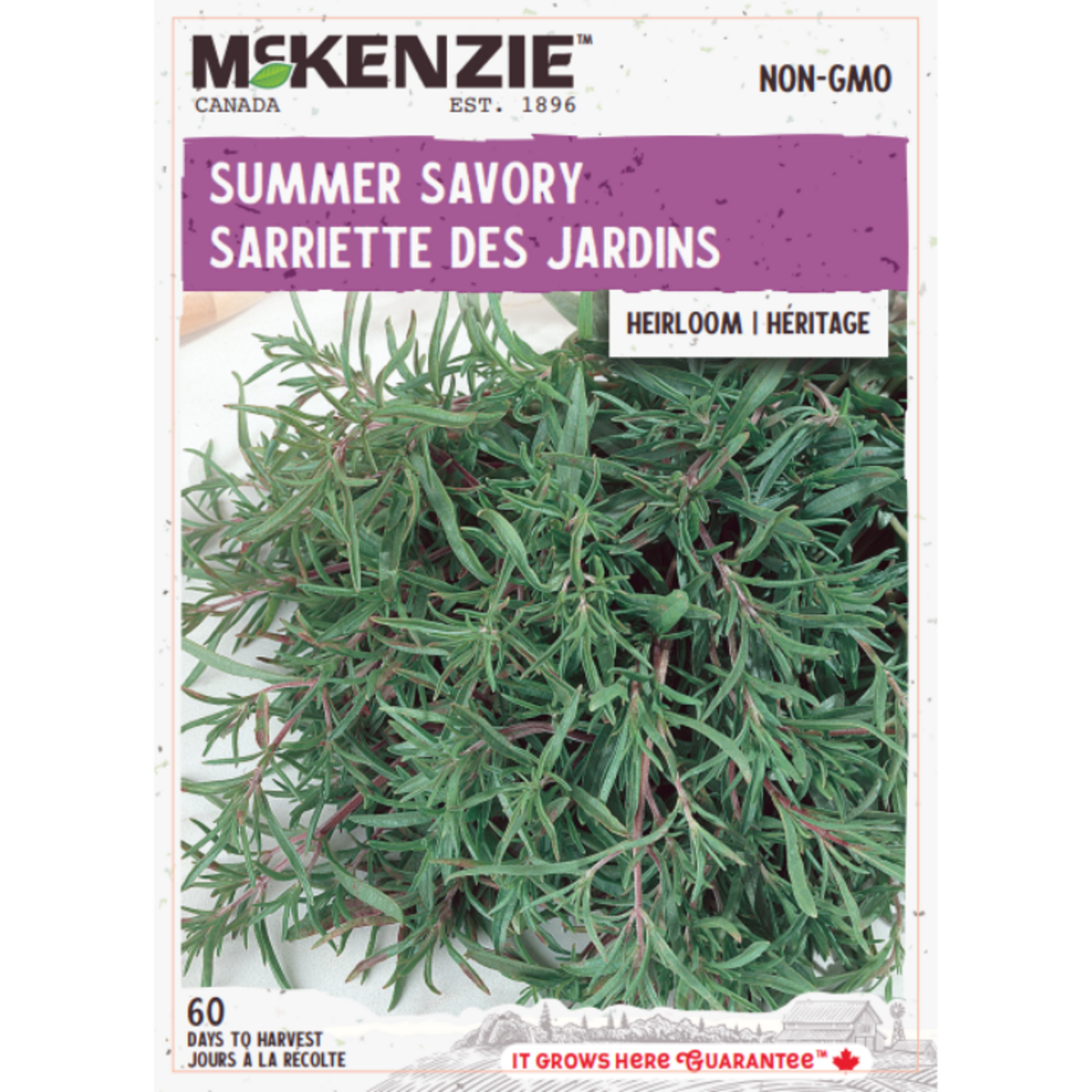 MK 2.49 V Herb Summer Savory