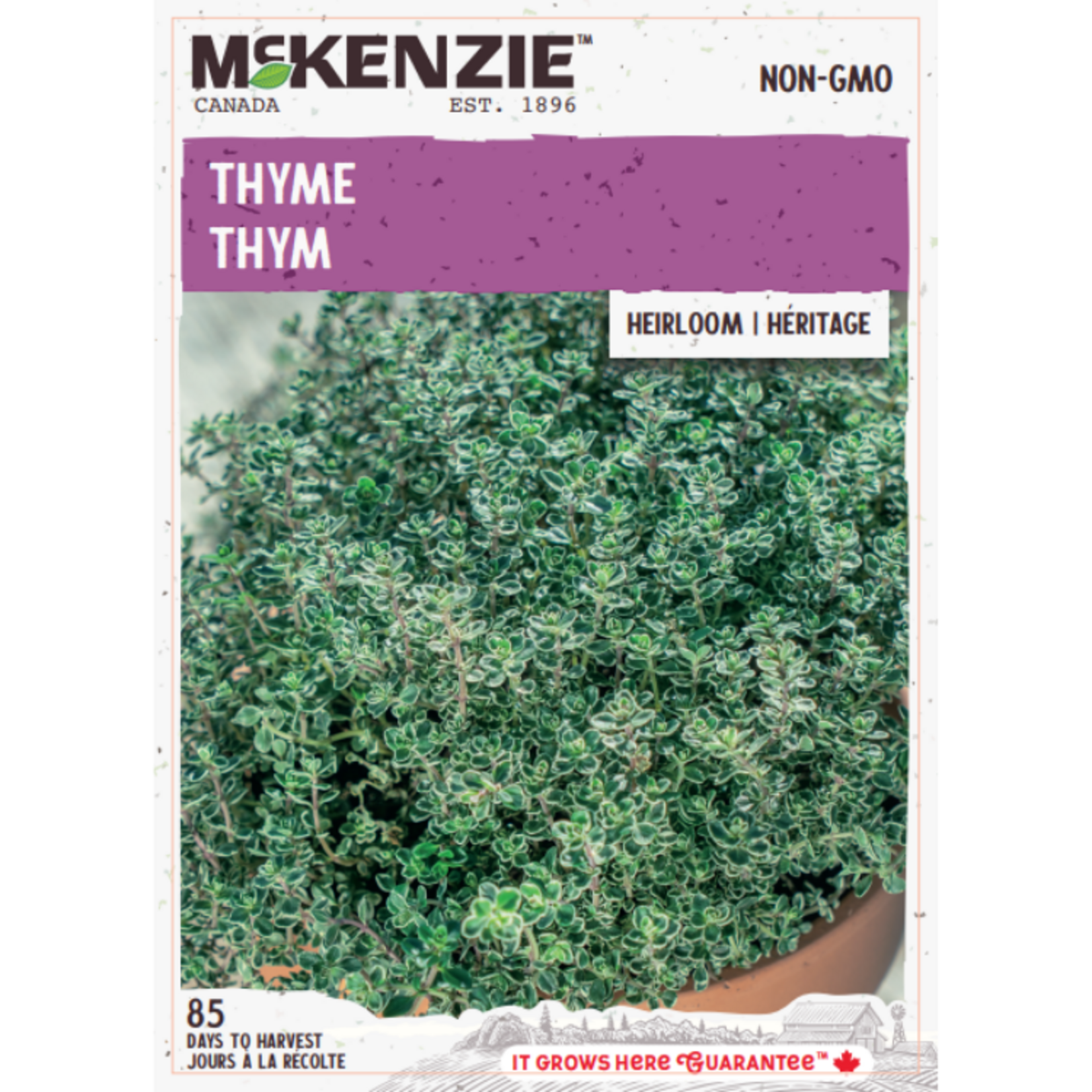 MK 2.49 V Herb Thyme
