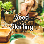 Seed Starting