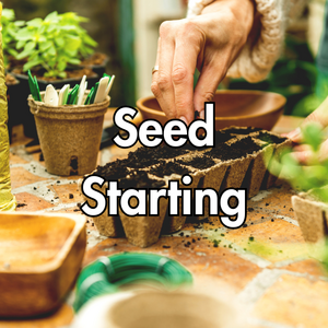 Seed starting products