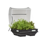 Vegepod - Medium Raised Garden Bed with Garden Cover