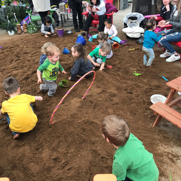 Tropical Days event photo 2