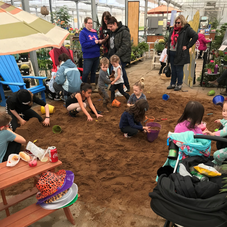 Tropical Days event photo 3