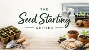 Week 2 - Right Seed, Right Time