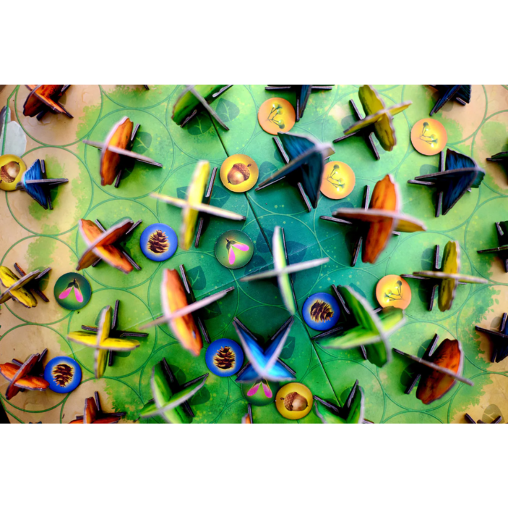 Blue Orange Games Photosynthesis