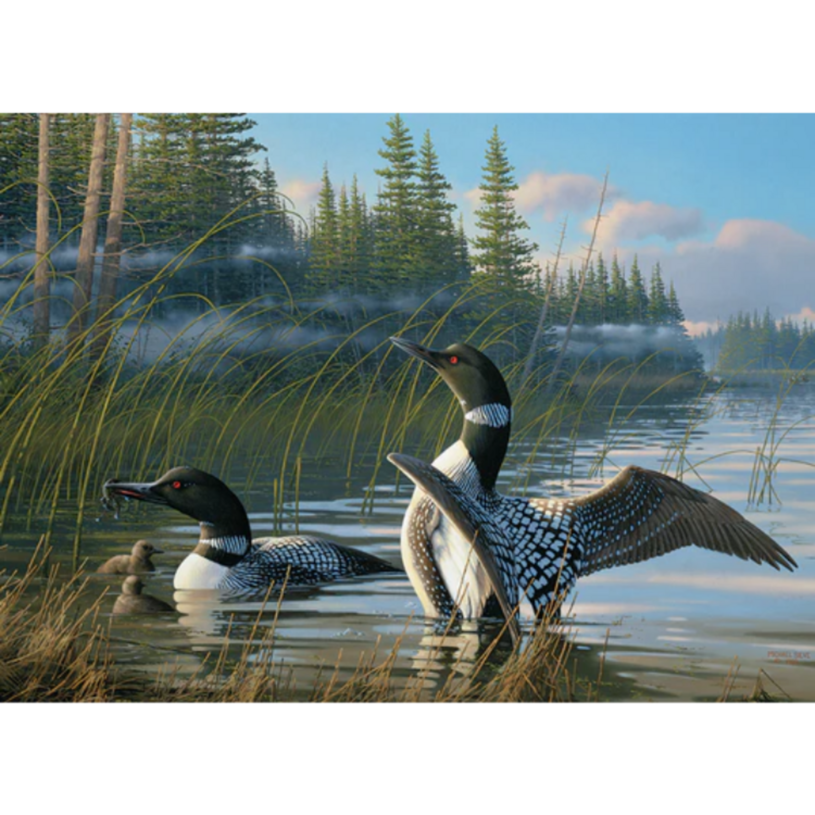 Cobble Hill Cobble Hill - 1000pcs - Common Loons