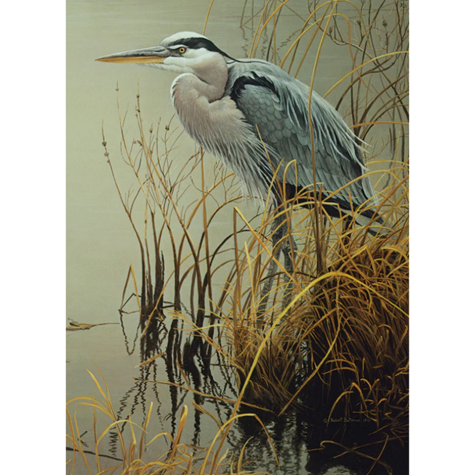 Cobble Hill Cobble Hill - 500pcs - Great Blue Heron