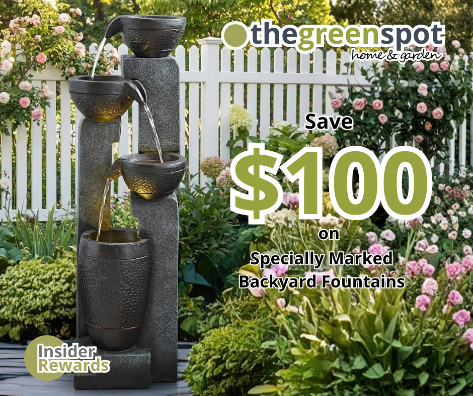 Backyard Fountain Promotion