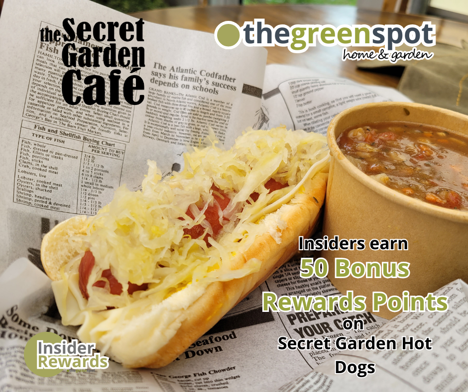 Hot Dog Promotion