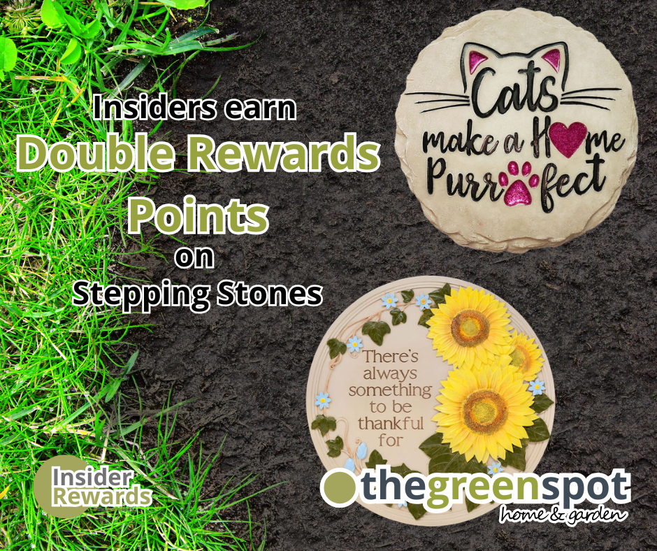 Stepping Stone Promotion