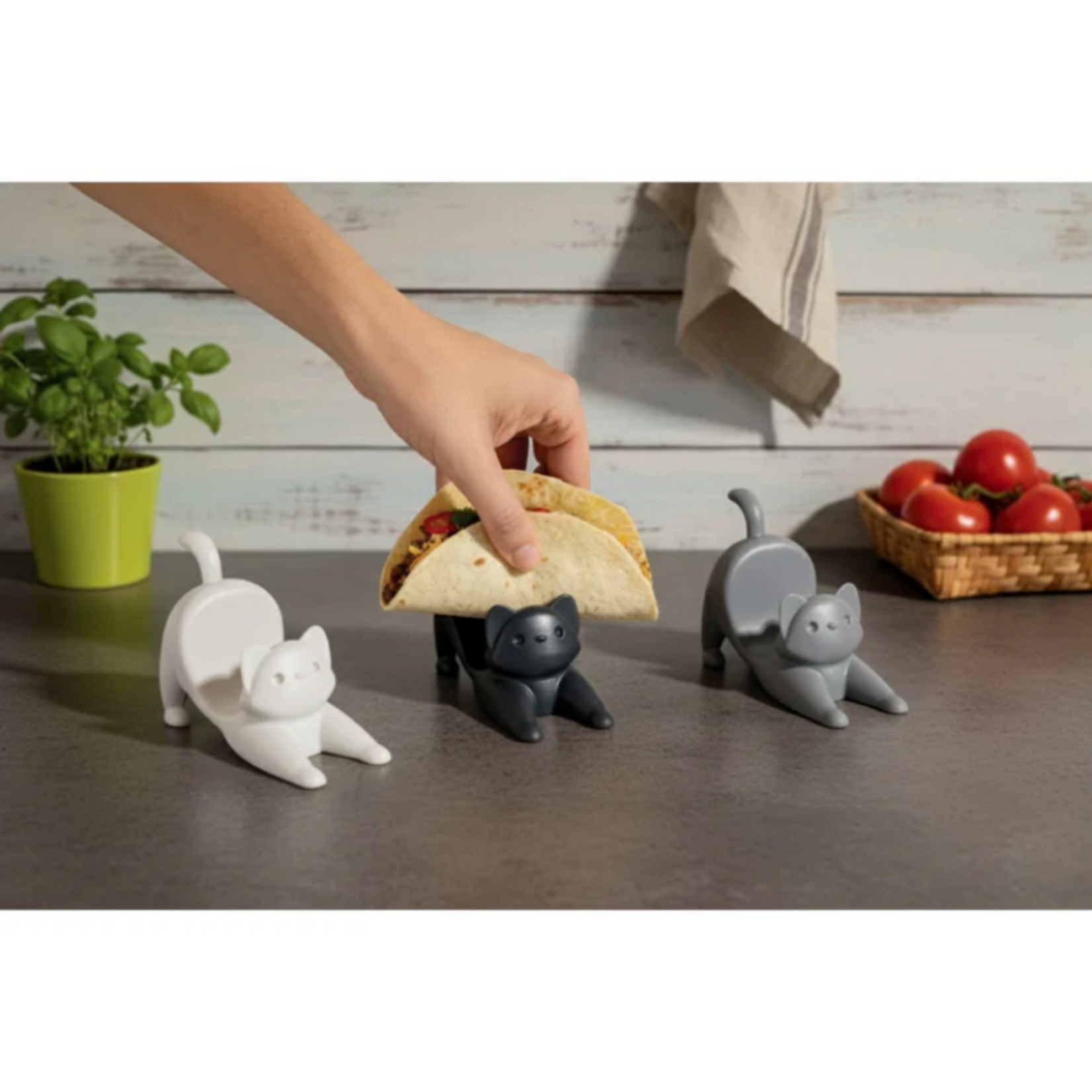 Ototo Catos Taco Holders Set of 3