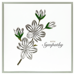 Paper Poetry White Flowers (Sympathy)