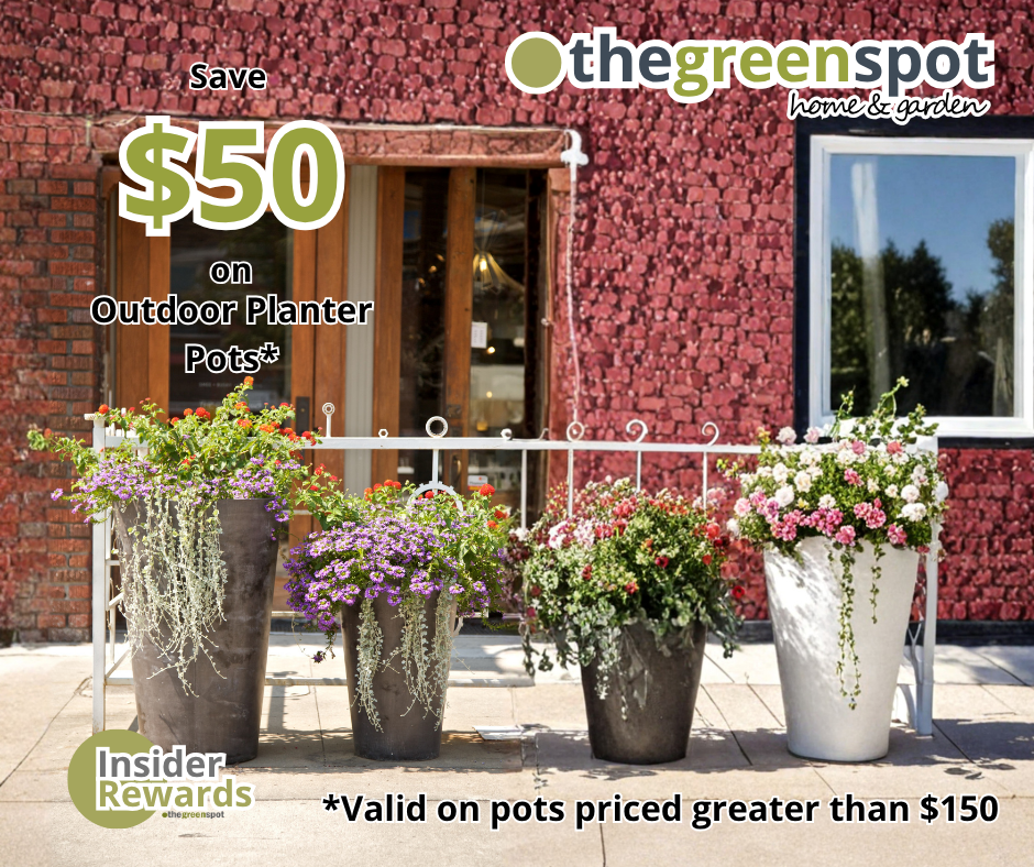 Save $50 on an outdoor planter pot priced at $149.99 or greater