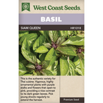 Basil - Siam Queen