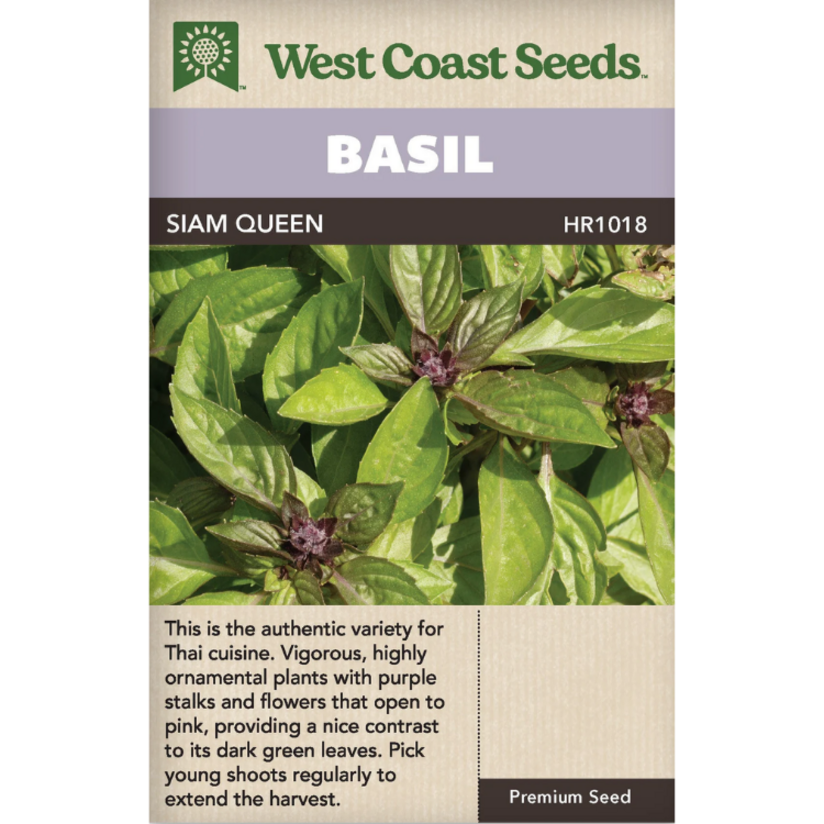 West Coast Seeds - Basil - Siam Queen