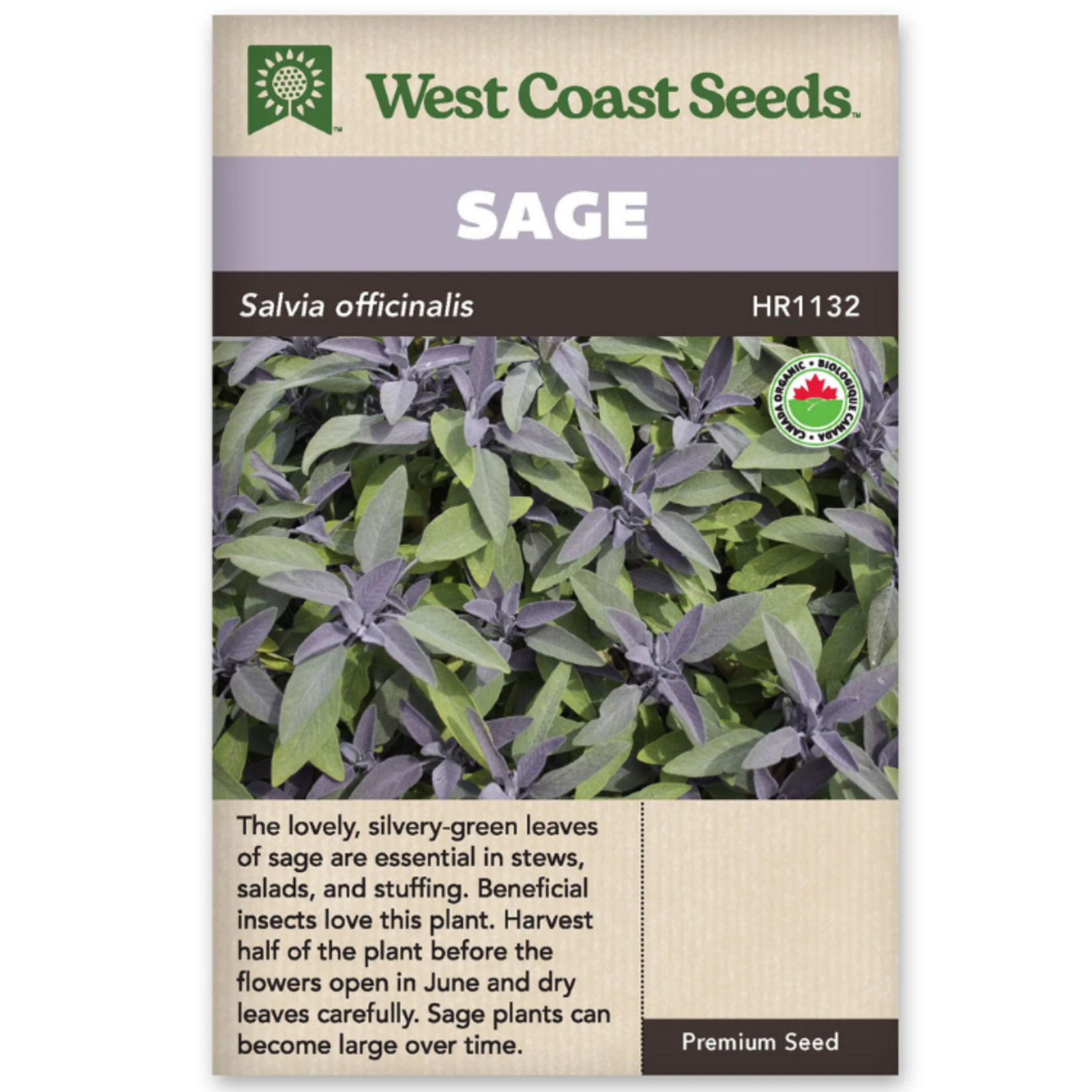 West Coast Seeds - Sage - Ceres Organic