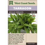 Tarragon - Mexican Tarragon Organic