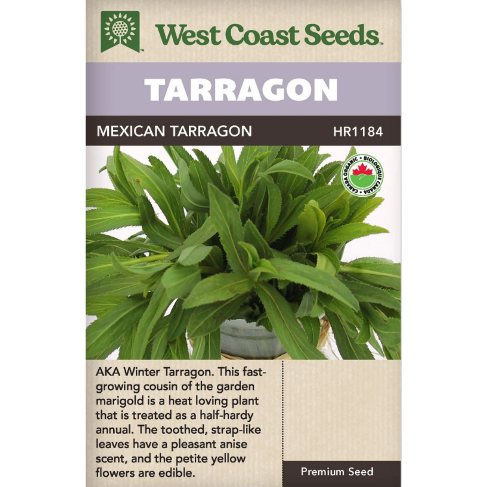 West Coast Seeds - Tarragon - Mexican Tarragon Organic
