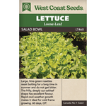 Lettuce - Salad Bowl Green