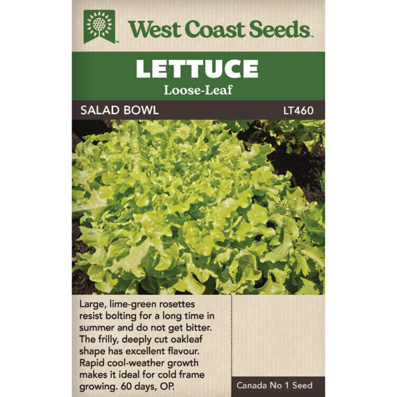 West Coast Seeds - Lettuce - Salad Bowl Green