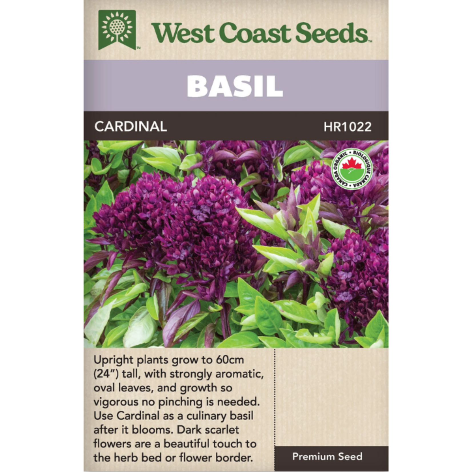 West Coast Seeds - Basil - Cardinal Organic