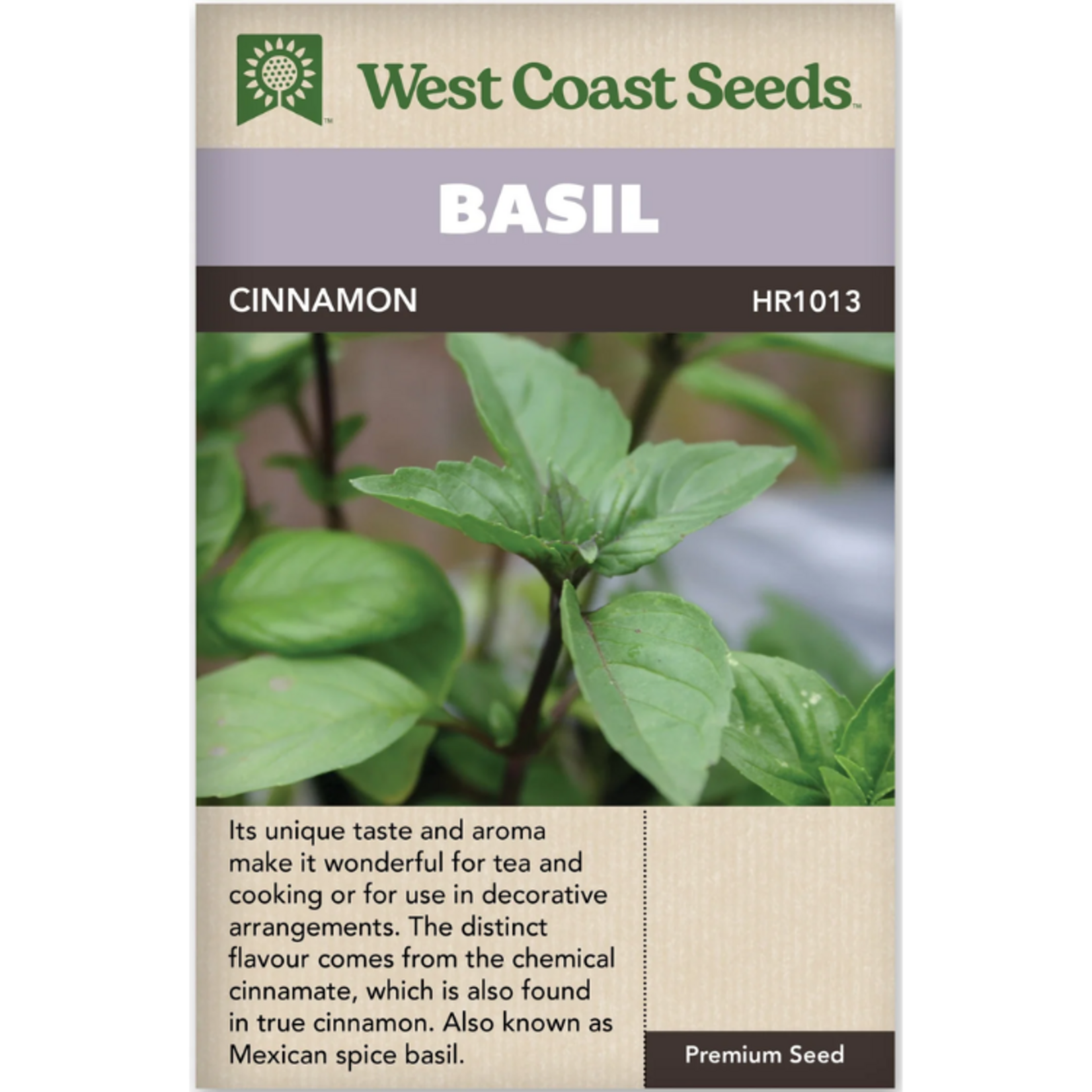 West Coast Seeds - Basil - Cinnamon