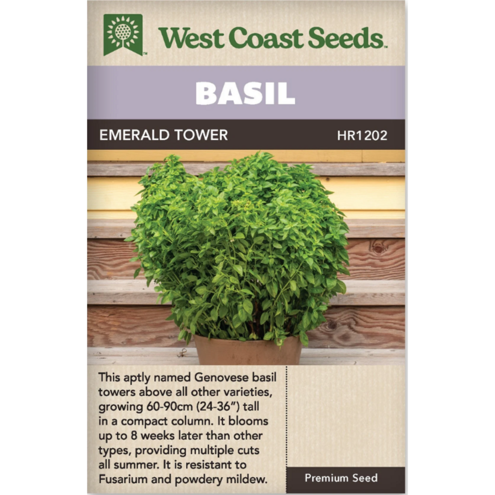 West Coast Seeds - Basil - Emerald Tower