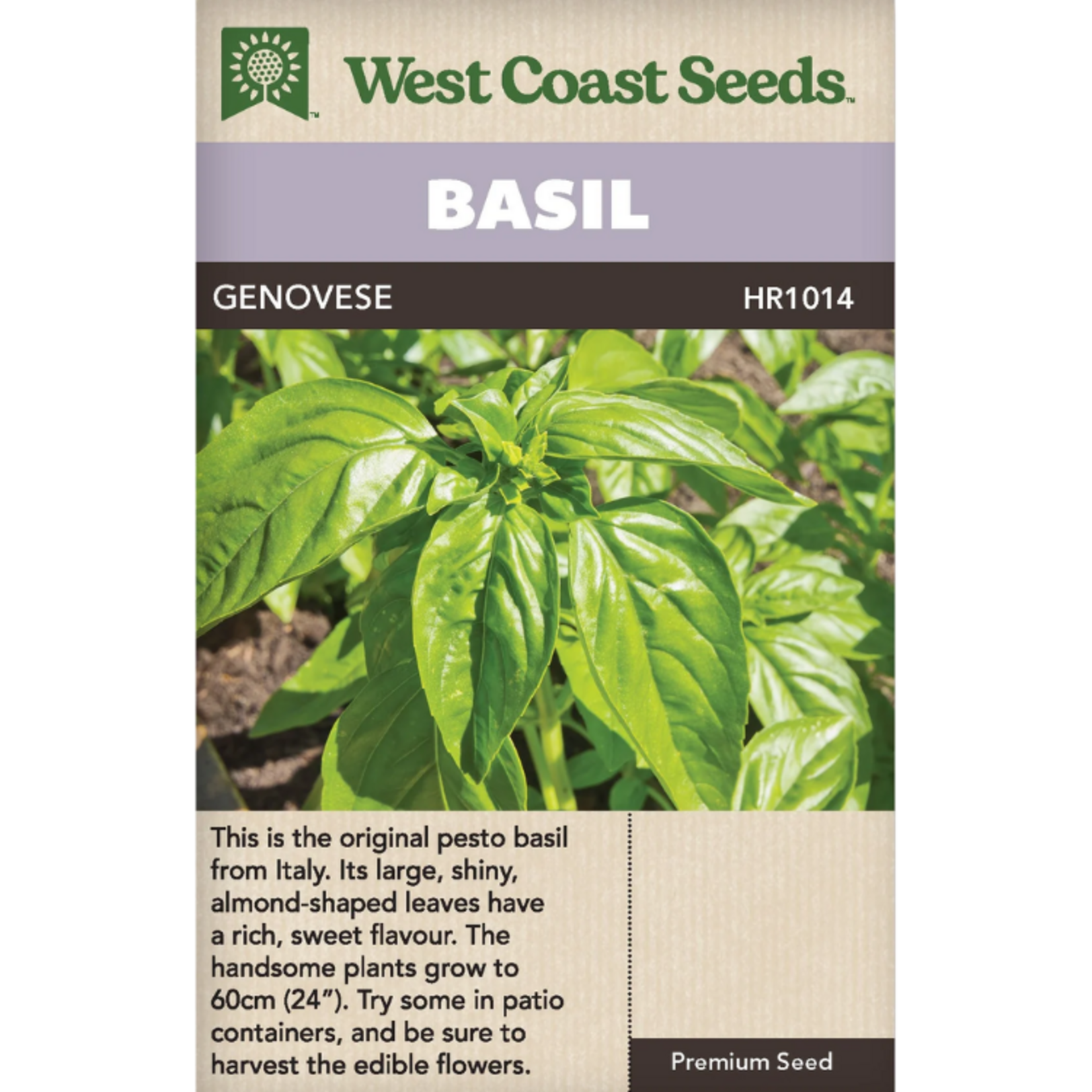 West Coast Seeds - Basil - Genovese