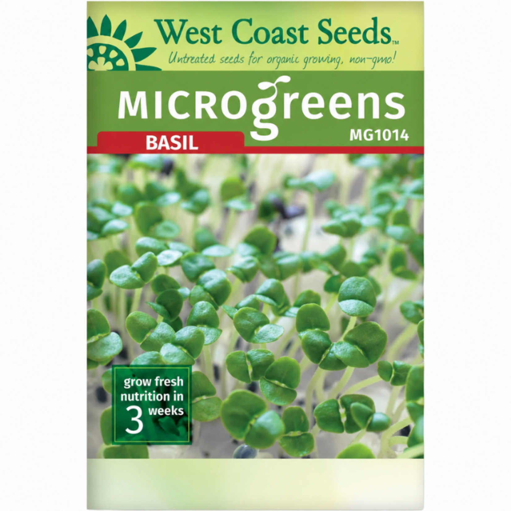 West Coast Seeds - Basil - Microgreen Basil