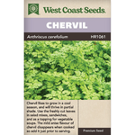 Chervil - Chervil