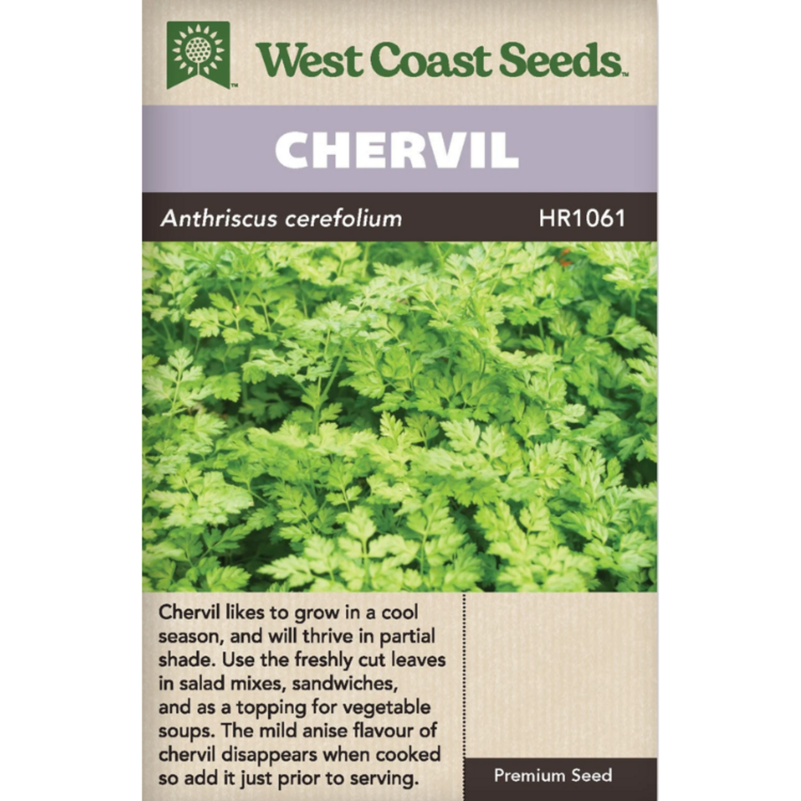 West Coast Seeds - Chervil - Chervil