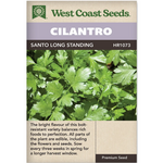 Cilantro - Santo