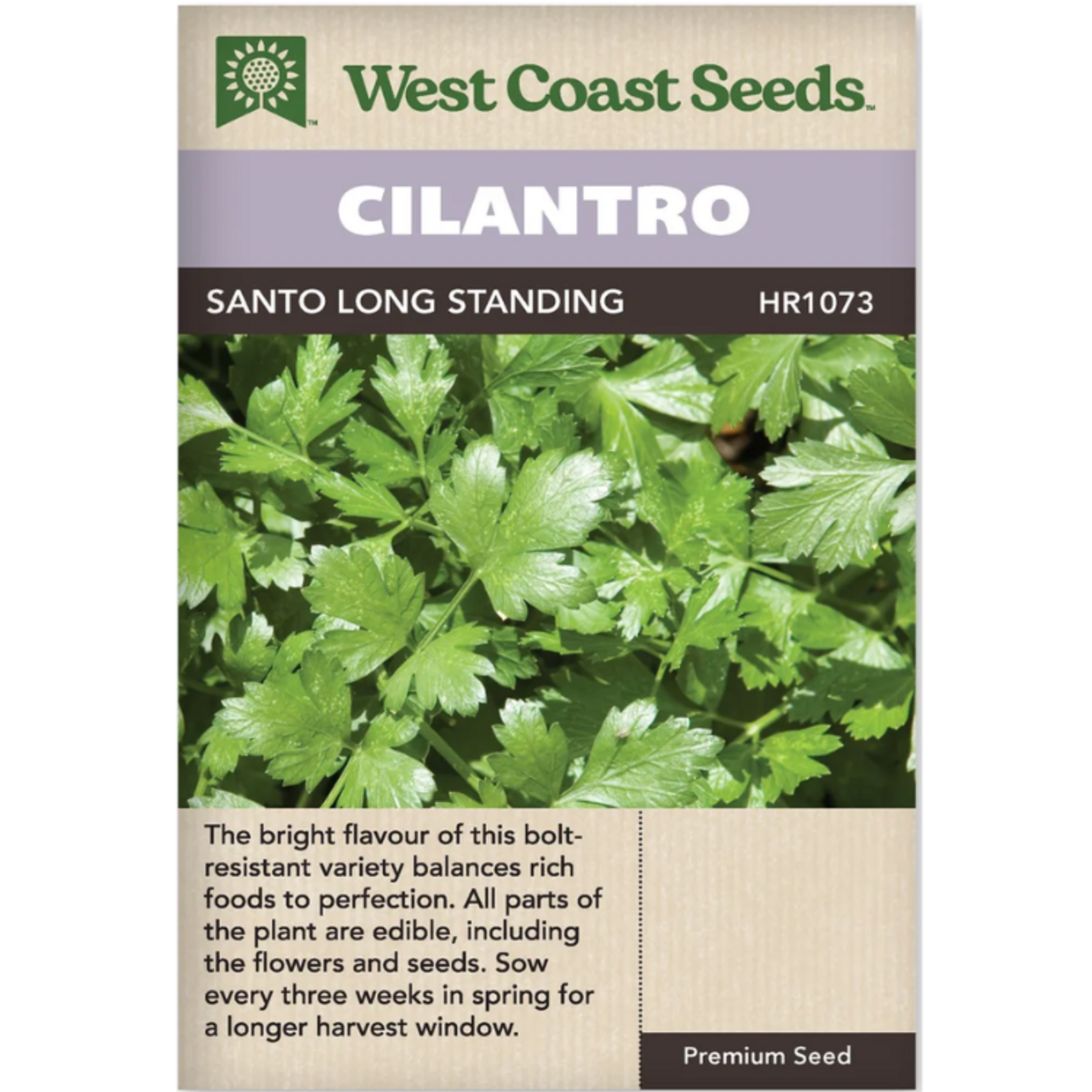West Coast Seeds - Cilantro - Santo