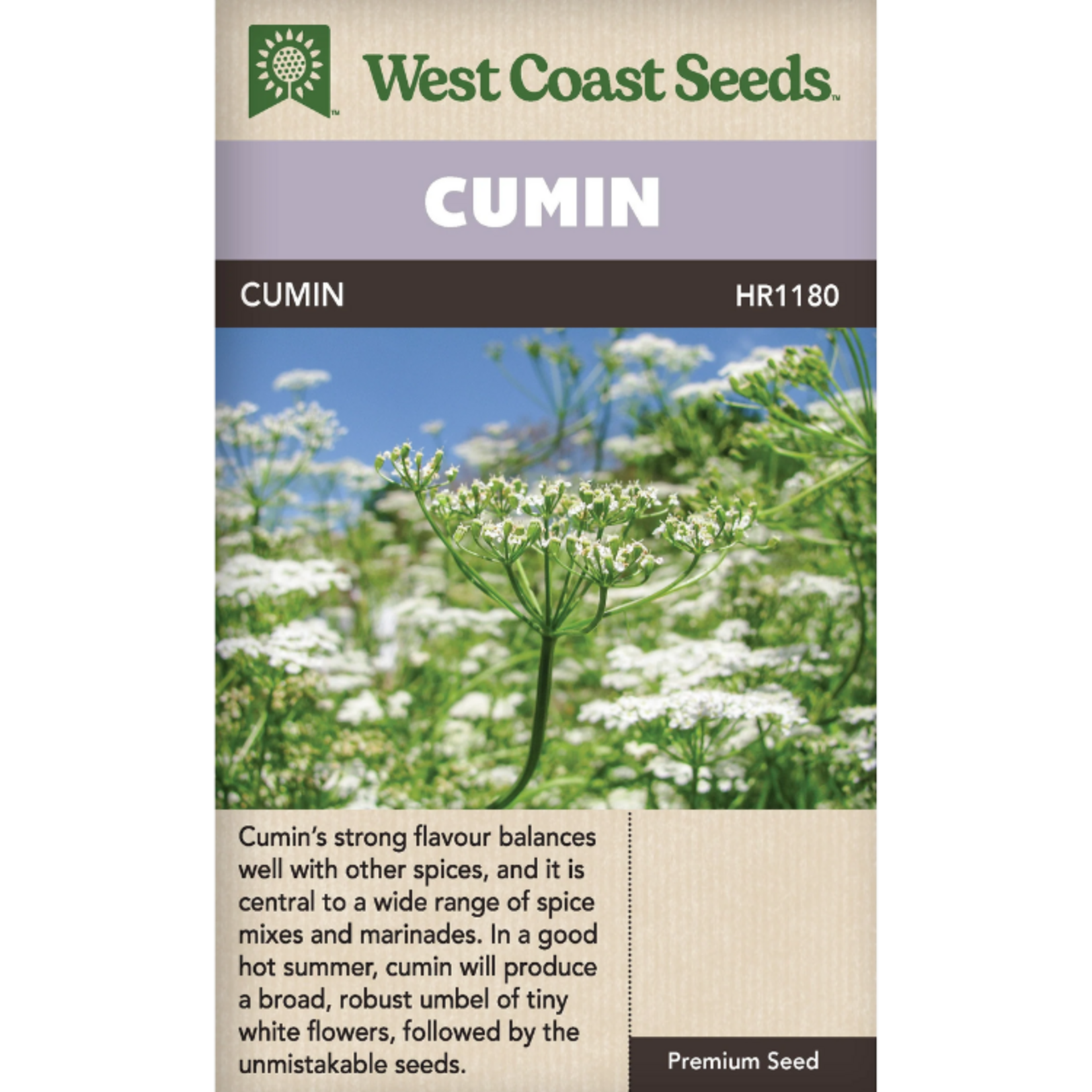 West Coast Seeds - Cumin - Cumin
