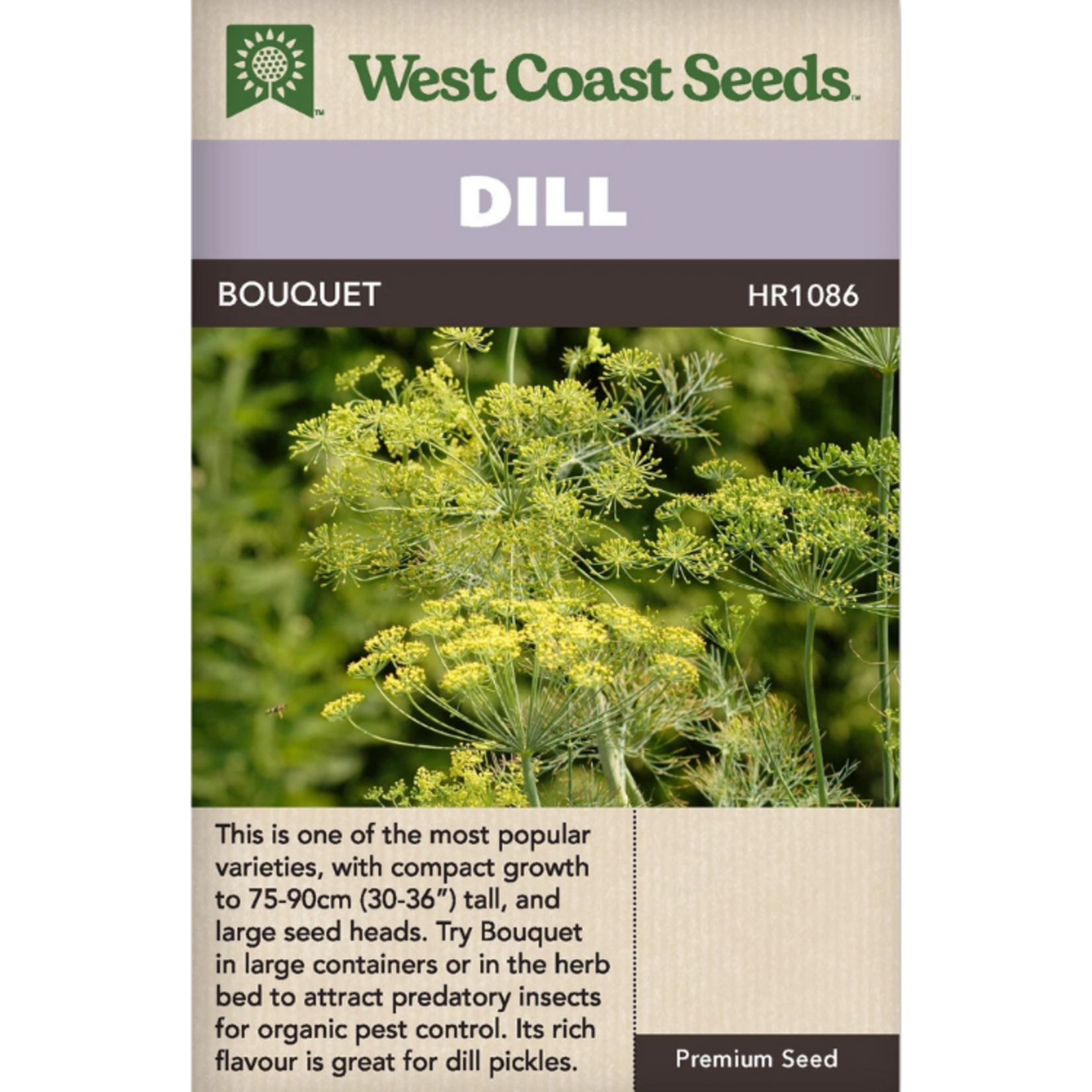 West Coast Seeds - Dill - Bouquet