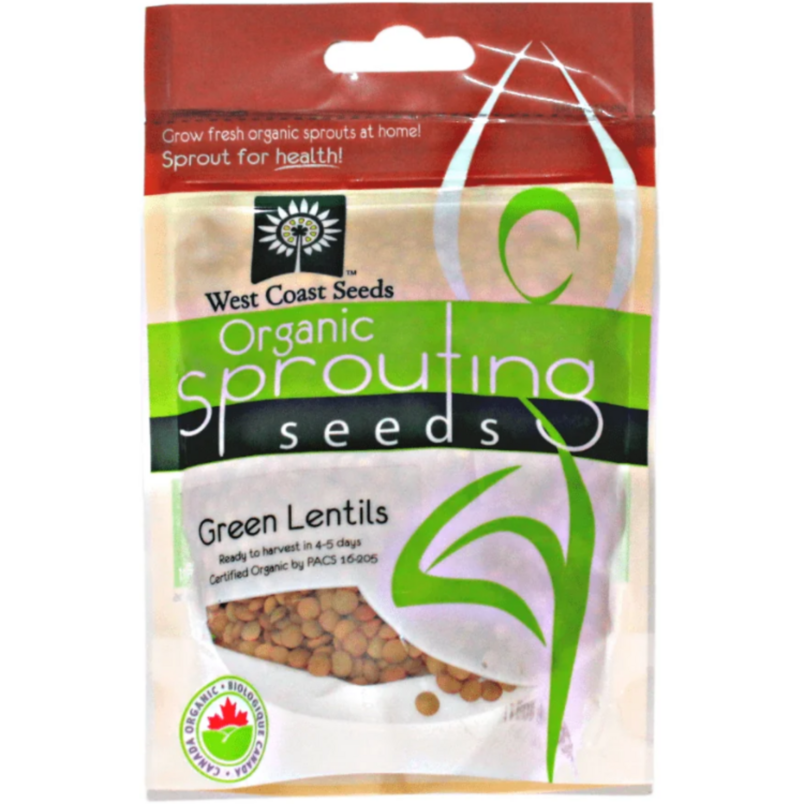 West Coast Seeds - Lentils - Green Lentils Organic