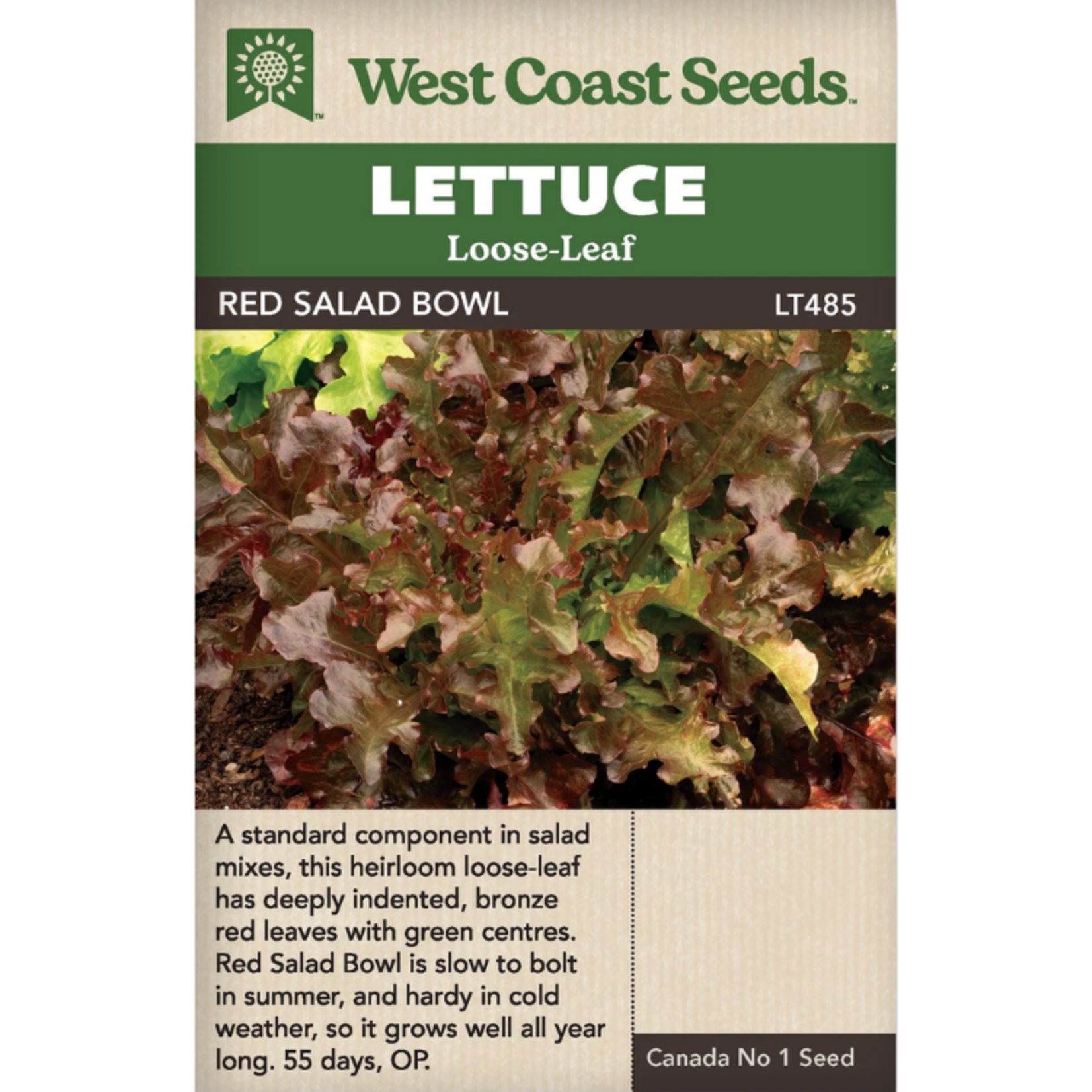 West Coast Seeds - Lettuce - Salad Bowl Red