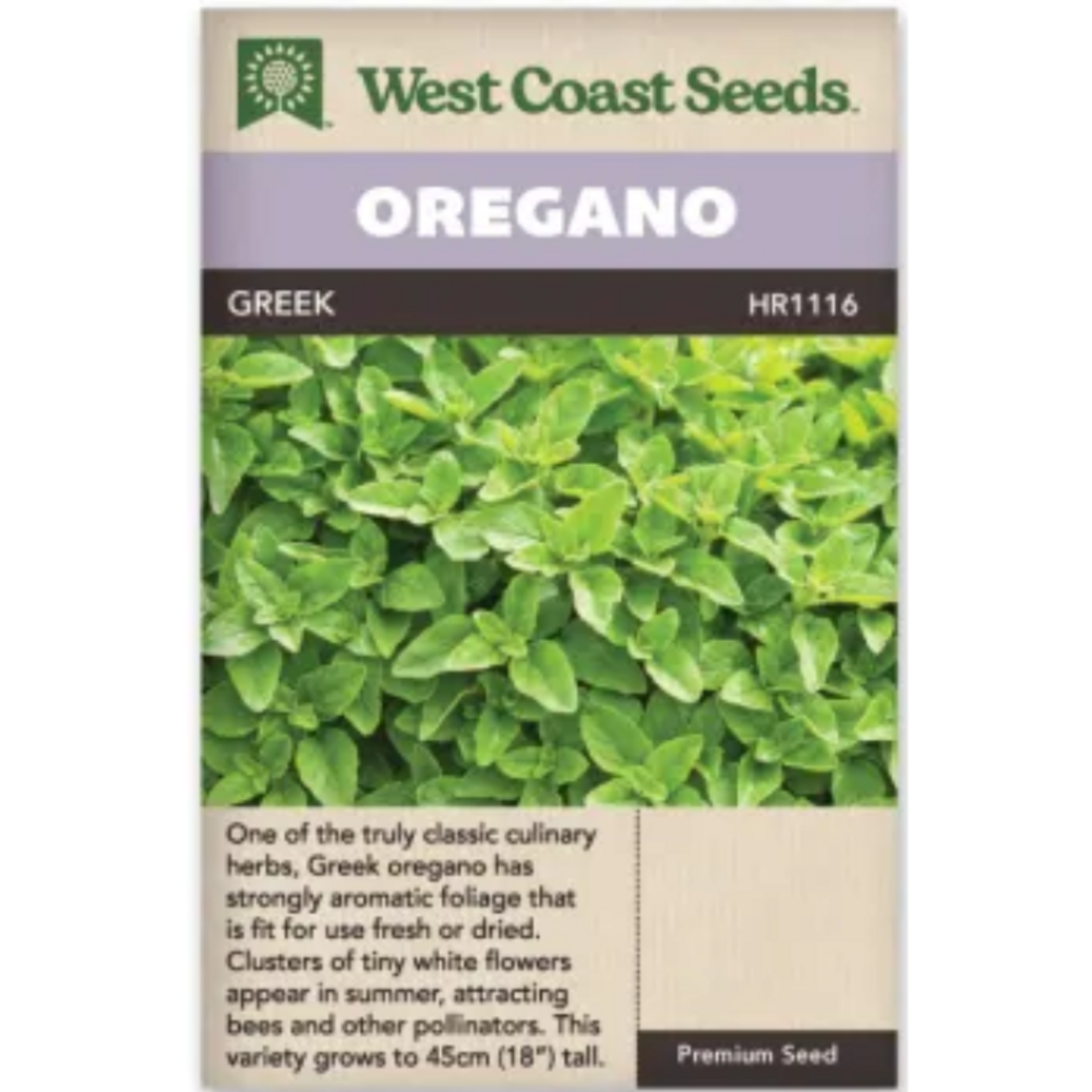 West Coast Seeds - Oregano - Greek Oregano