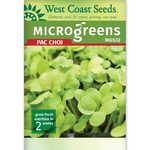 Pac Choi - Microgreen Pac Choi